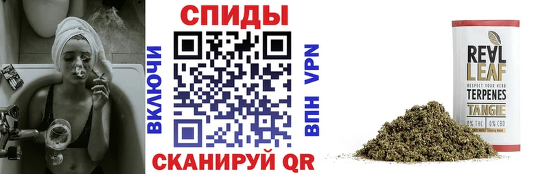 Купить где  Бугуруслан  Бутират буратино 
