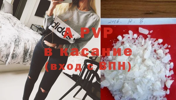 СК Куйбышев